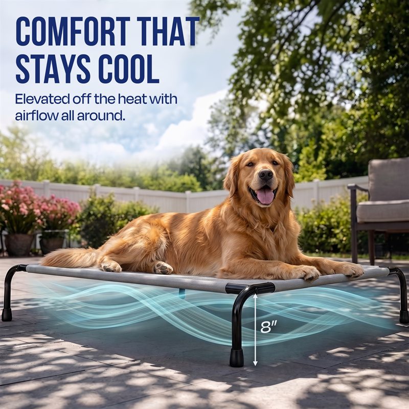 Finished listing image, elevated dog bed